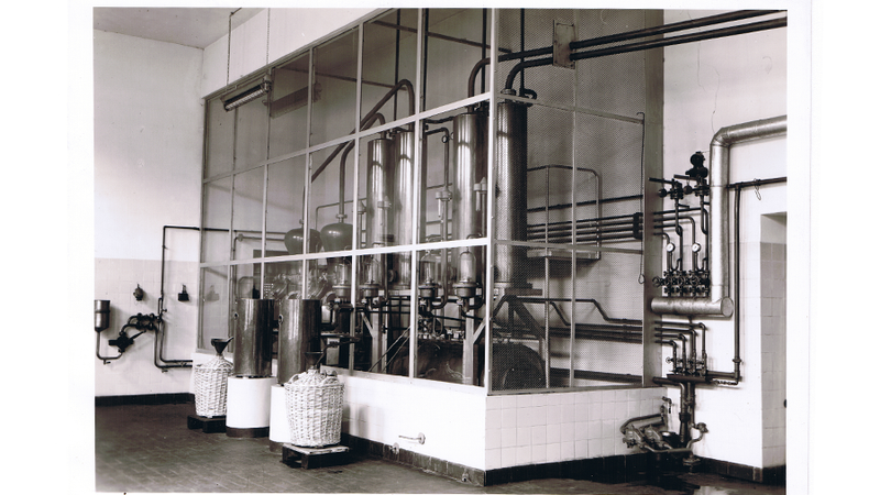 1950
