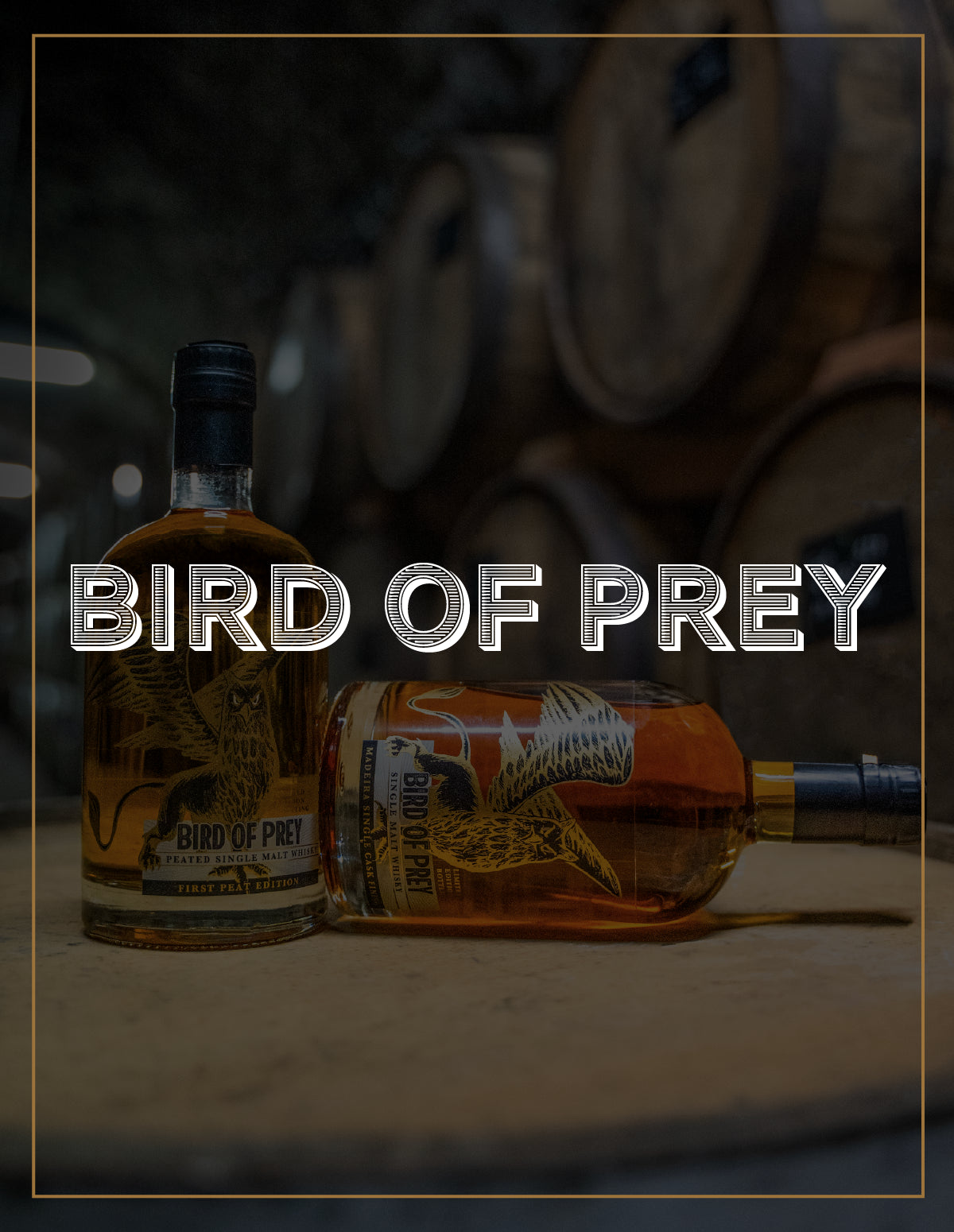 Logo der Marke Bird Of Prey