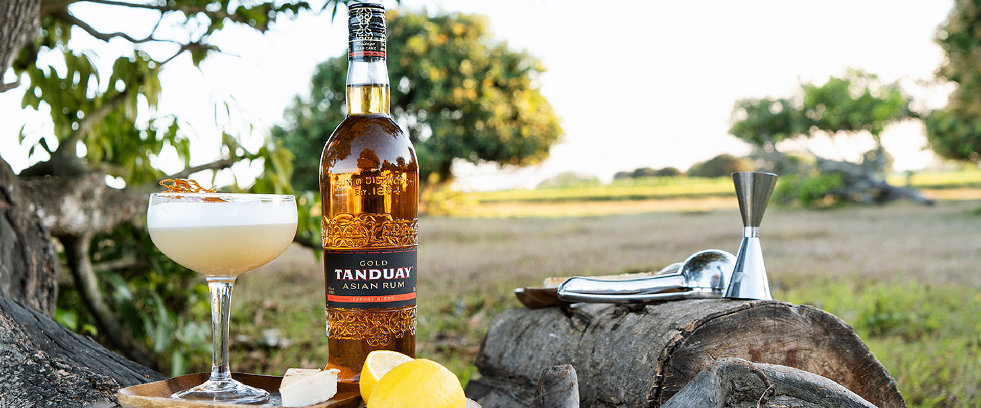 Flasche Tanduay Rum, Cocktailglas, Zitrone und Barwerkzeuge auf einem Baumstamm im Freien bei sonnigem Wetter.