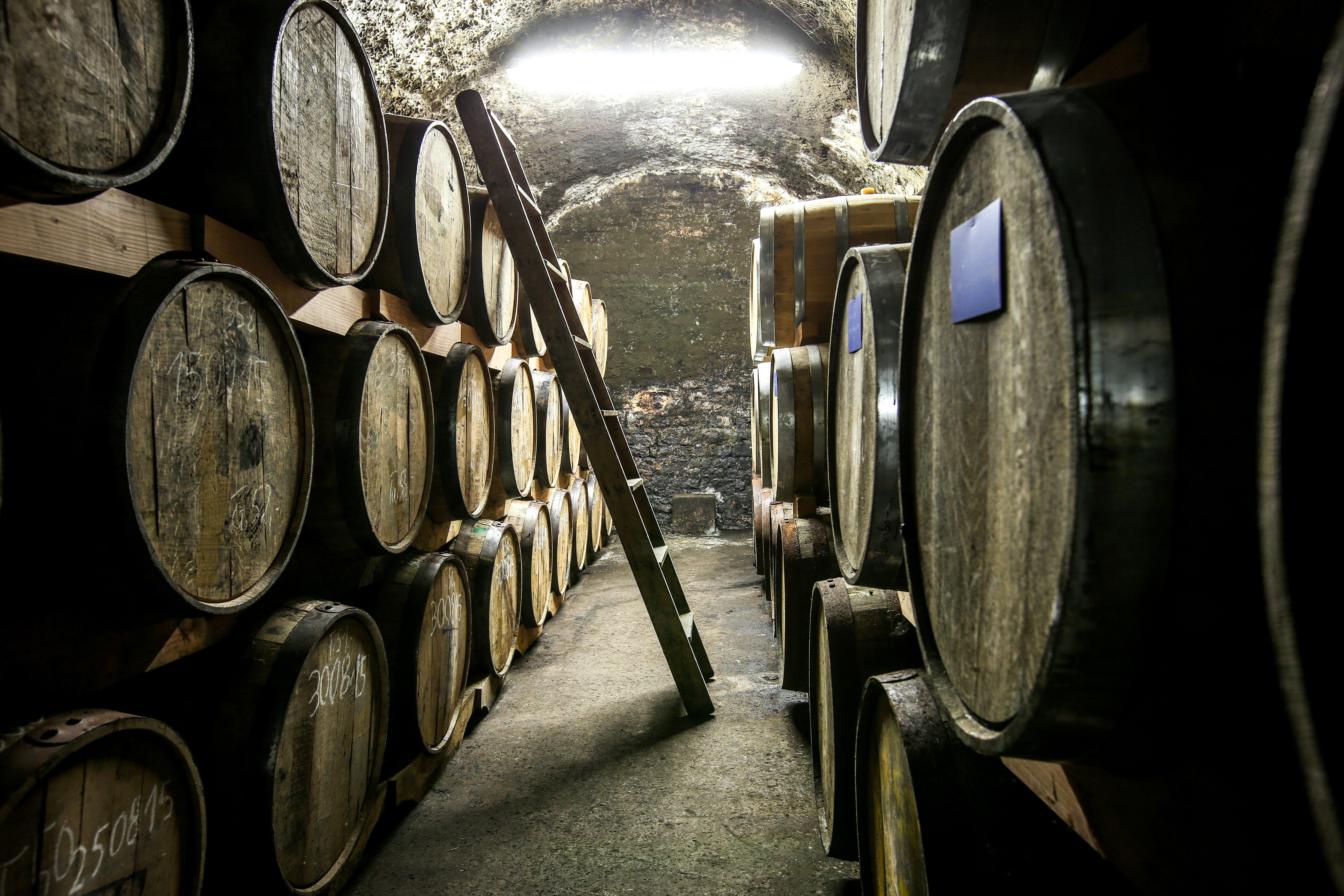 Ein Weinkeller mit gestapelten Holzfässern und einer Leiter in der Mitte des Raumes.