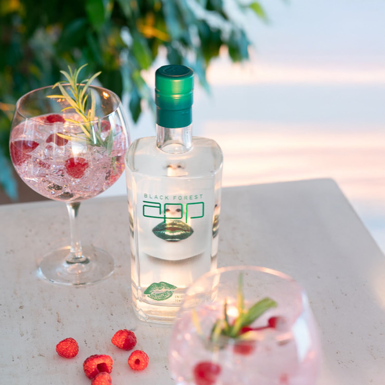 Destillerie Kammer-Kirsch GmbH