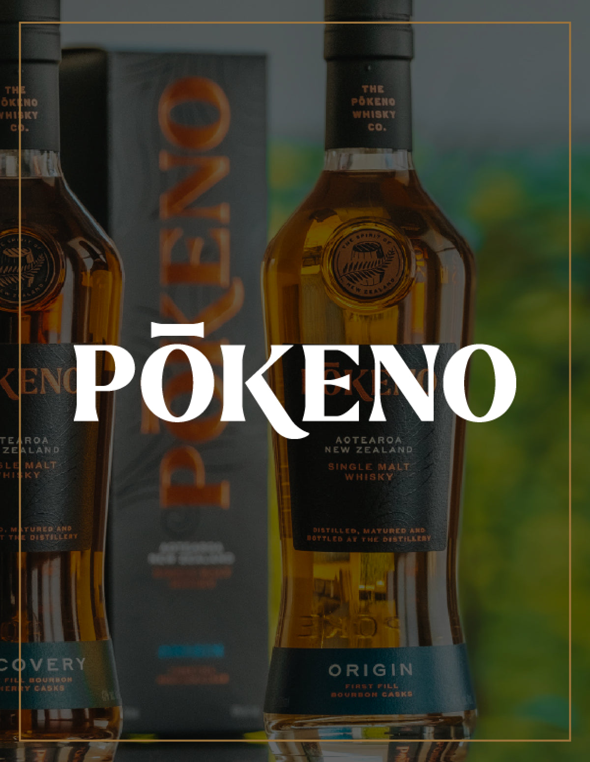 Logo der Marke Pokeno